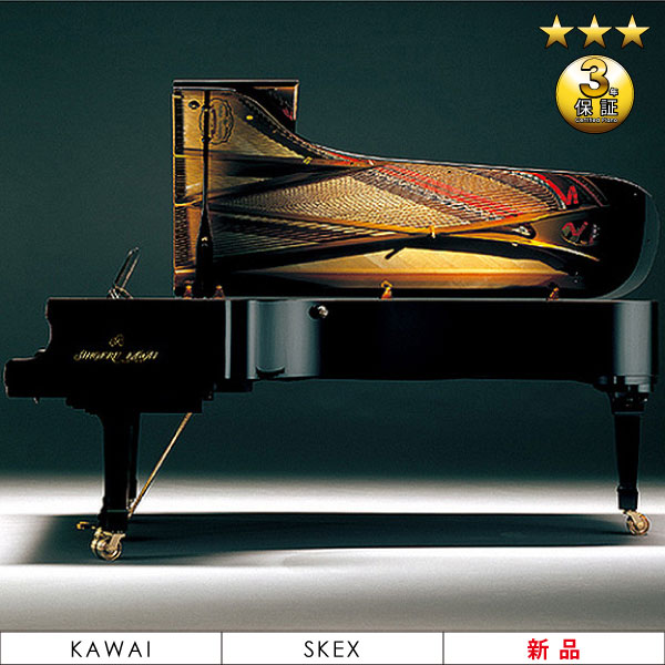 ViOhsAm@KAWAI(JCjSK-EXyԌ VisAmLy[z6_Zbg+gm[v[g!!